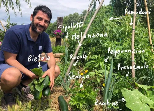 Marco Zullo nell'orto